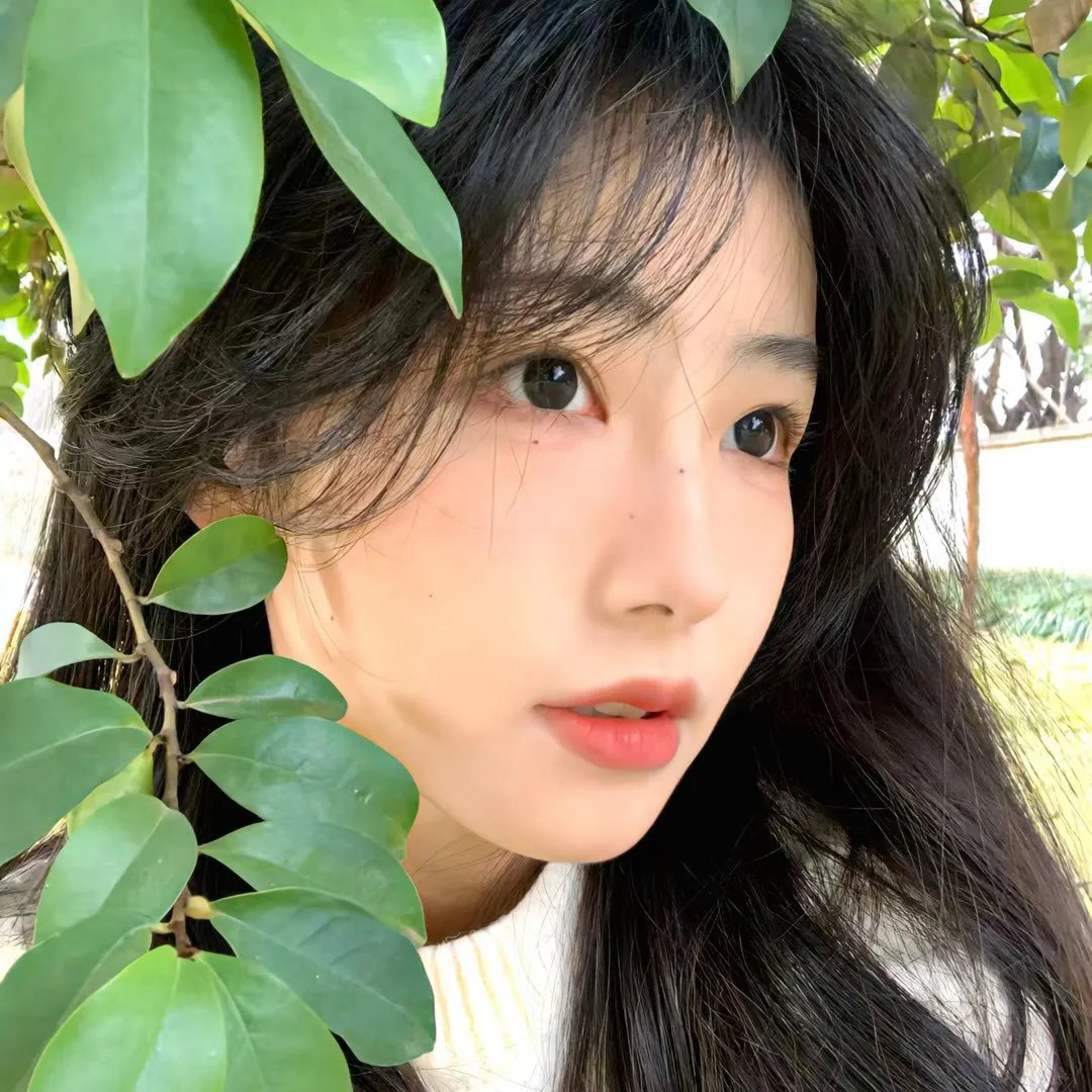 THE LEGEND & BUTTERFLY